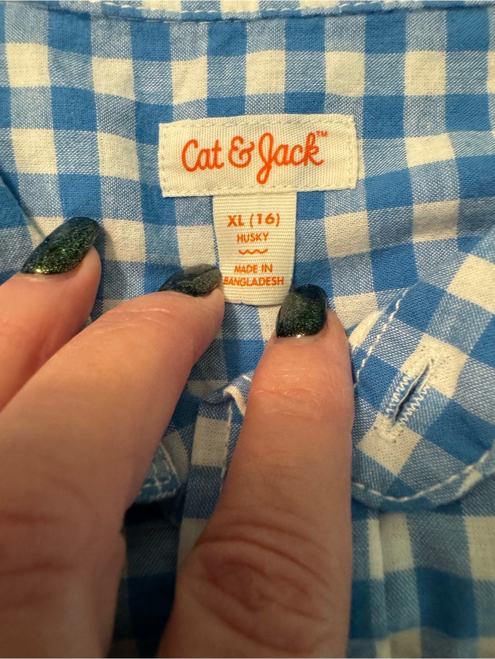 Cat & Jack Blue and White Gingham Button-Down Shirt